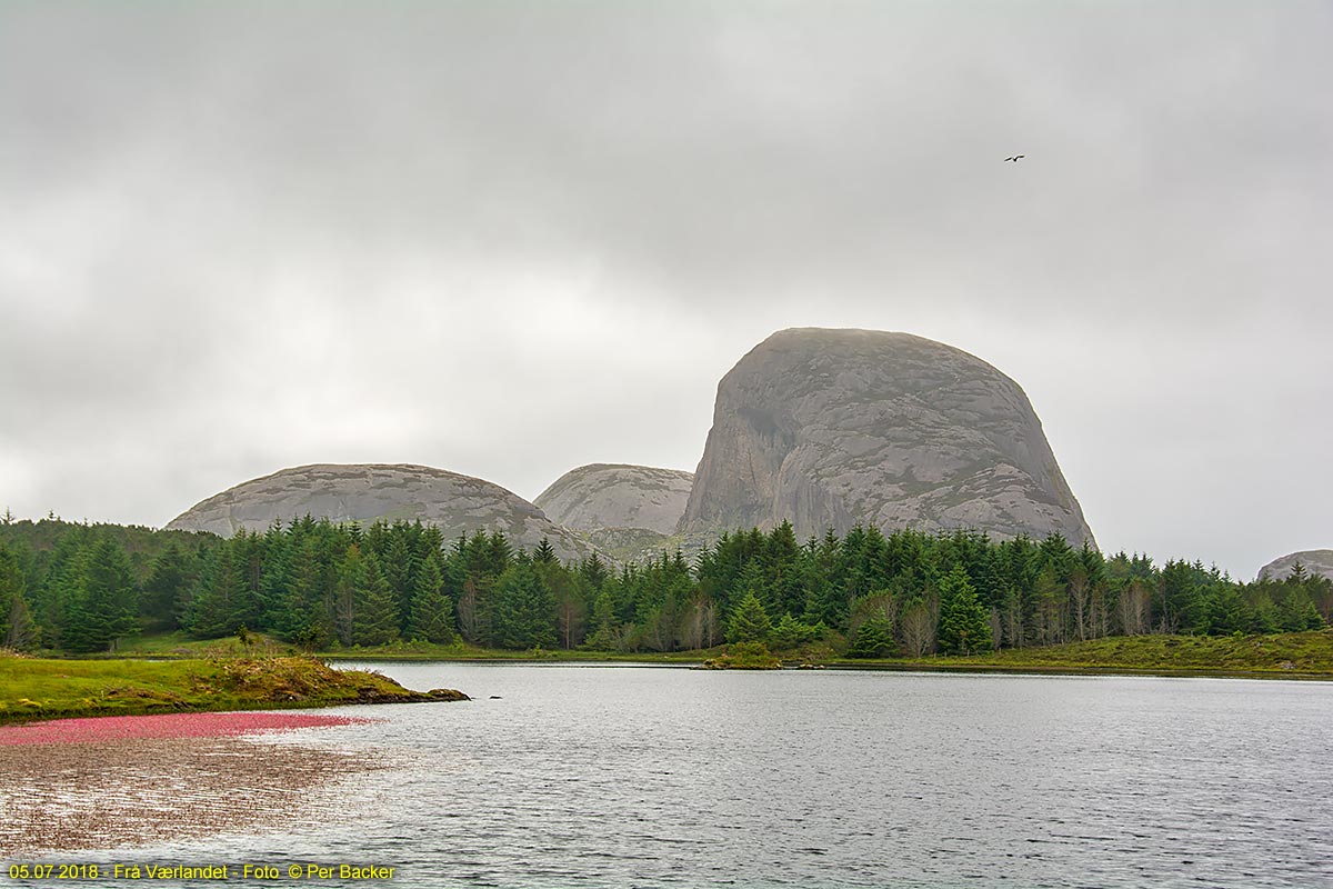 Frå Værlandet