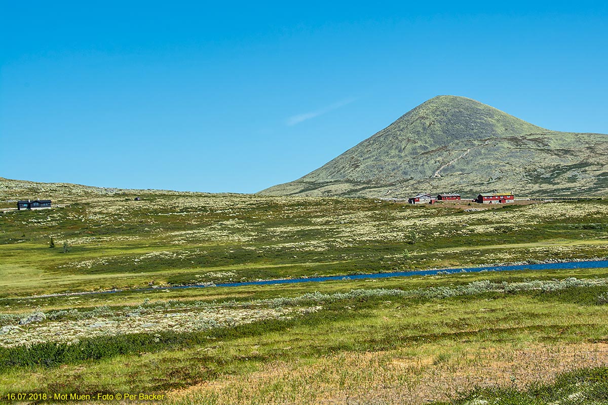 Muen på Venabufjellet, 1424 meter høg