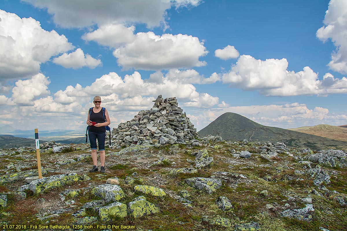 Frå Store Bølhøgda, 1258 moh