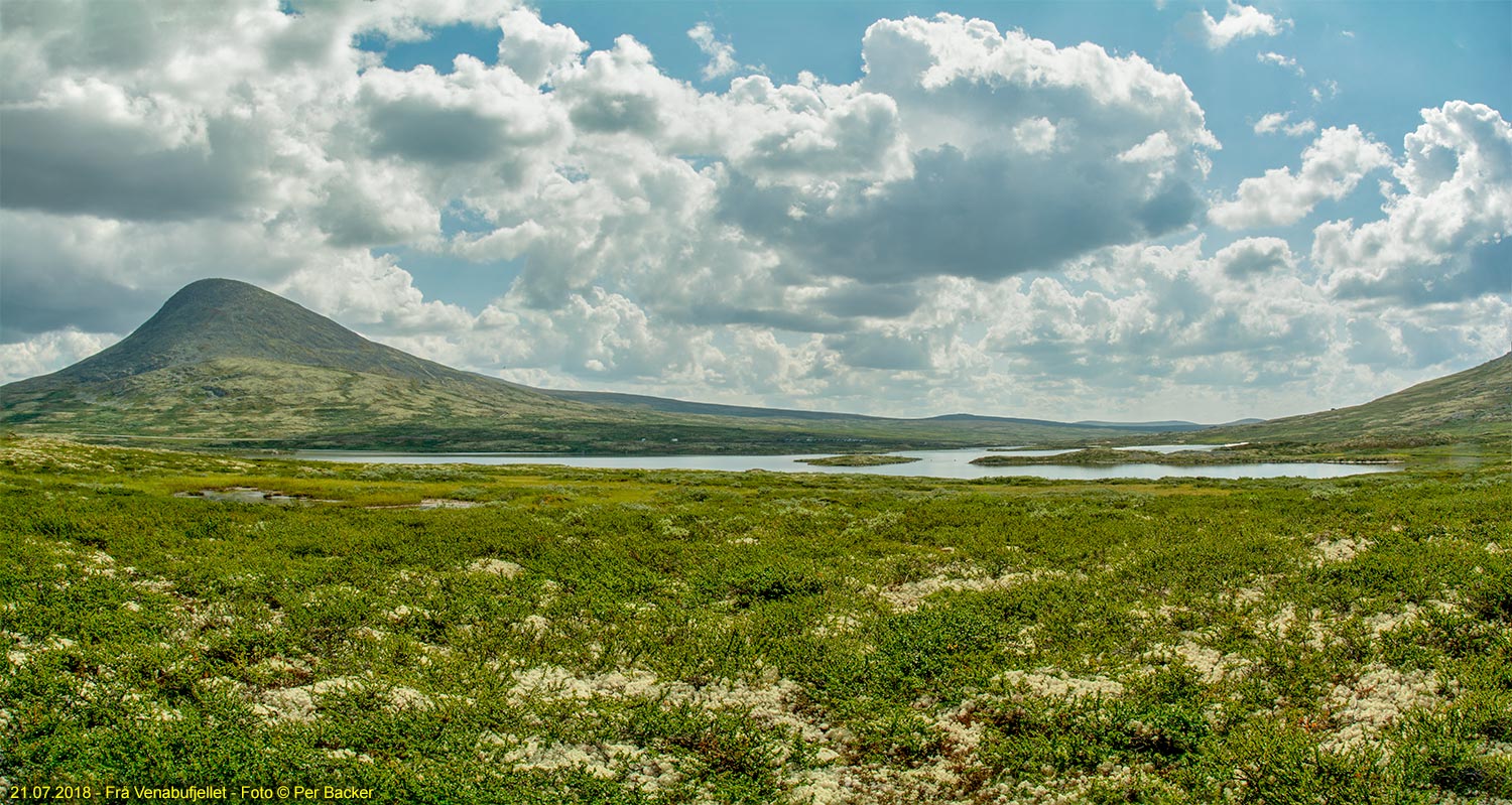 Frå Venabufjellet