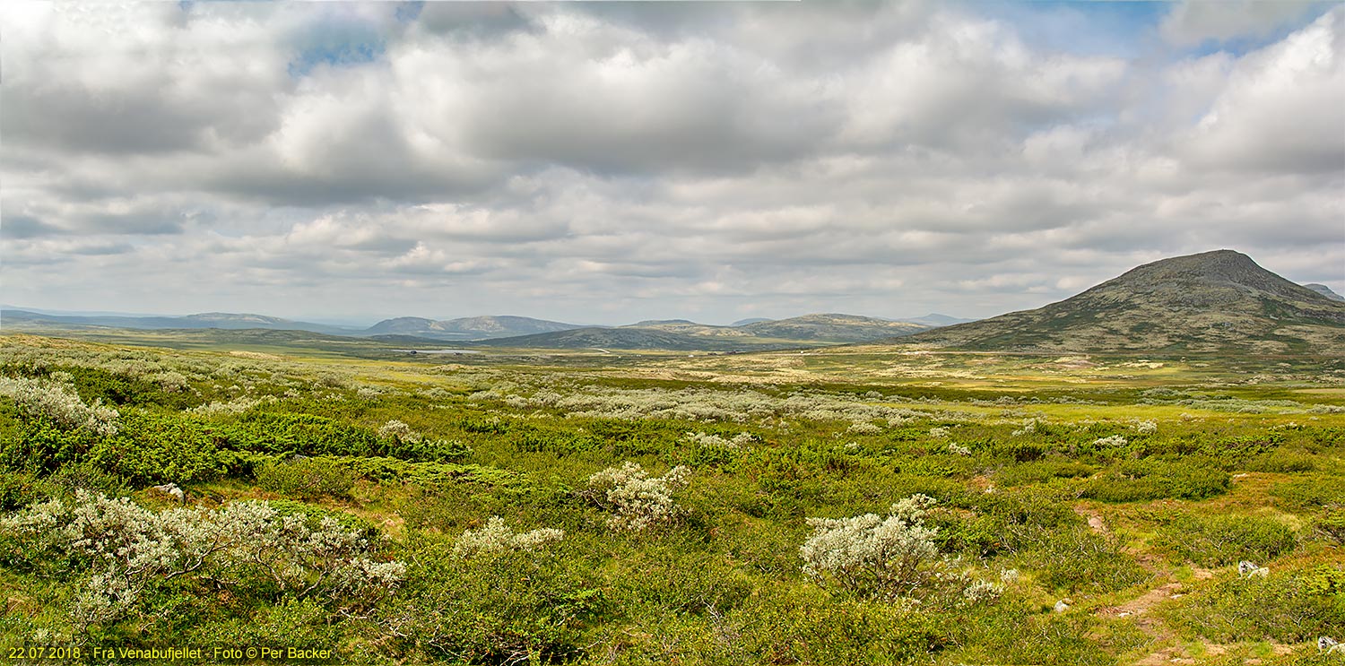 Frå Venabufjellet