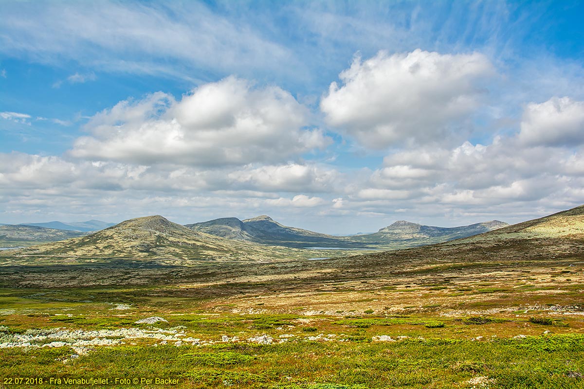 Frå Venabufjellet