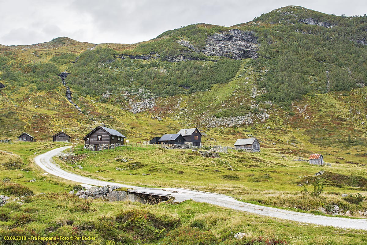 Frå Reppane