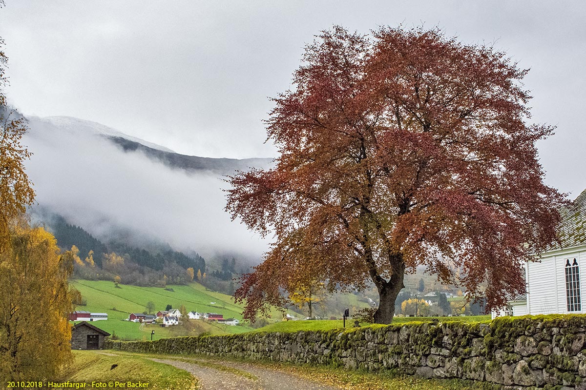 Haustfargar