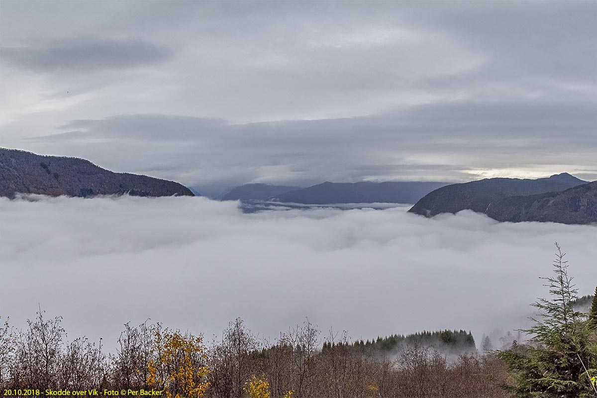 Skodde over Vik