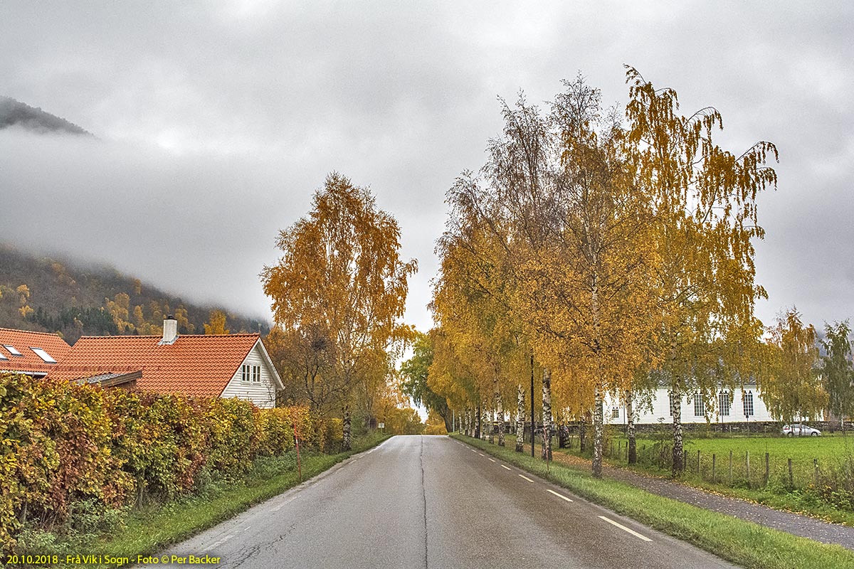 Frå Vik i Sogn