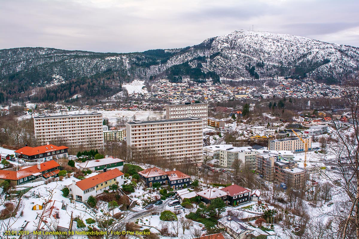 Mot Løvstakken frå Nattlandsfjellet