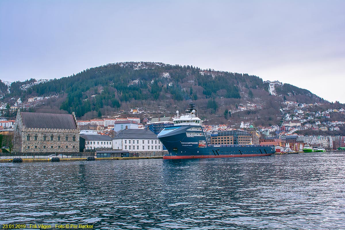 Vågen