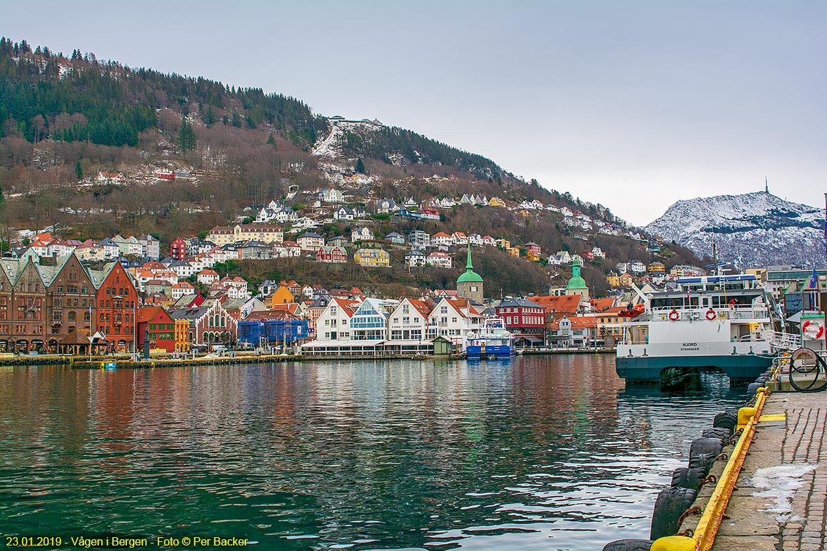 Vågen