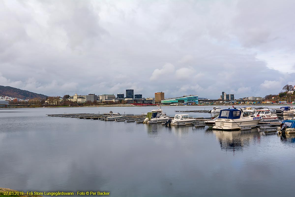 Store Lungegaardsvann