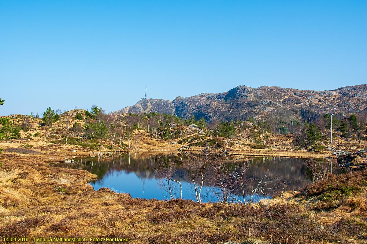 Tjødn på Nattlandsfjellet