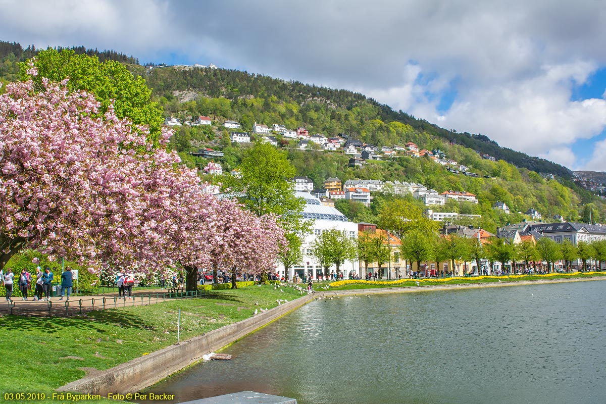 Frå Byparken