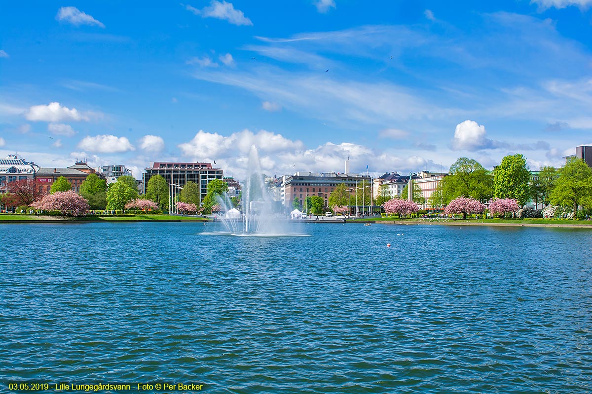 Lille Lungegårdsvann