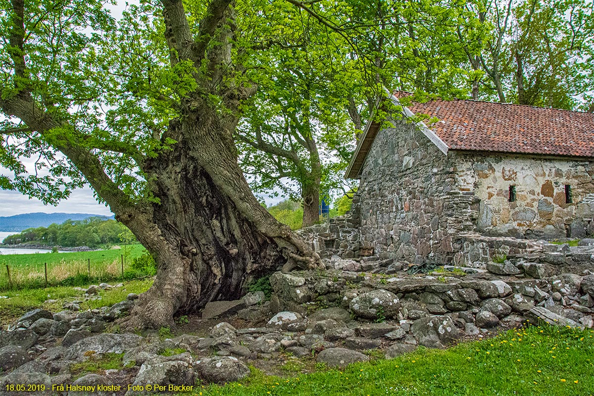 Frå Halsnøy kloster