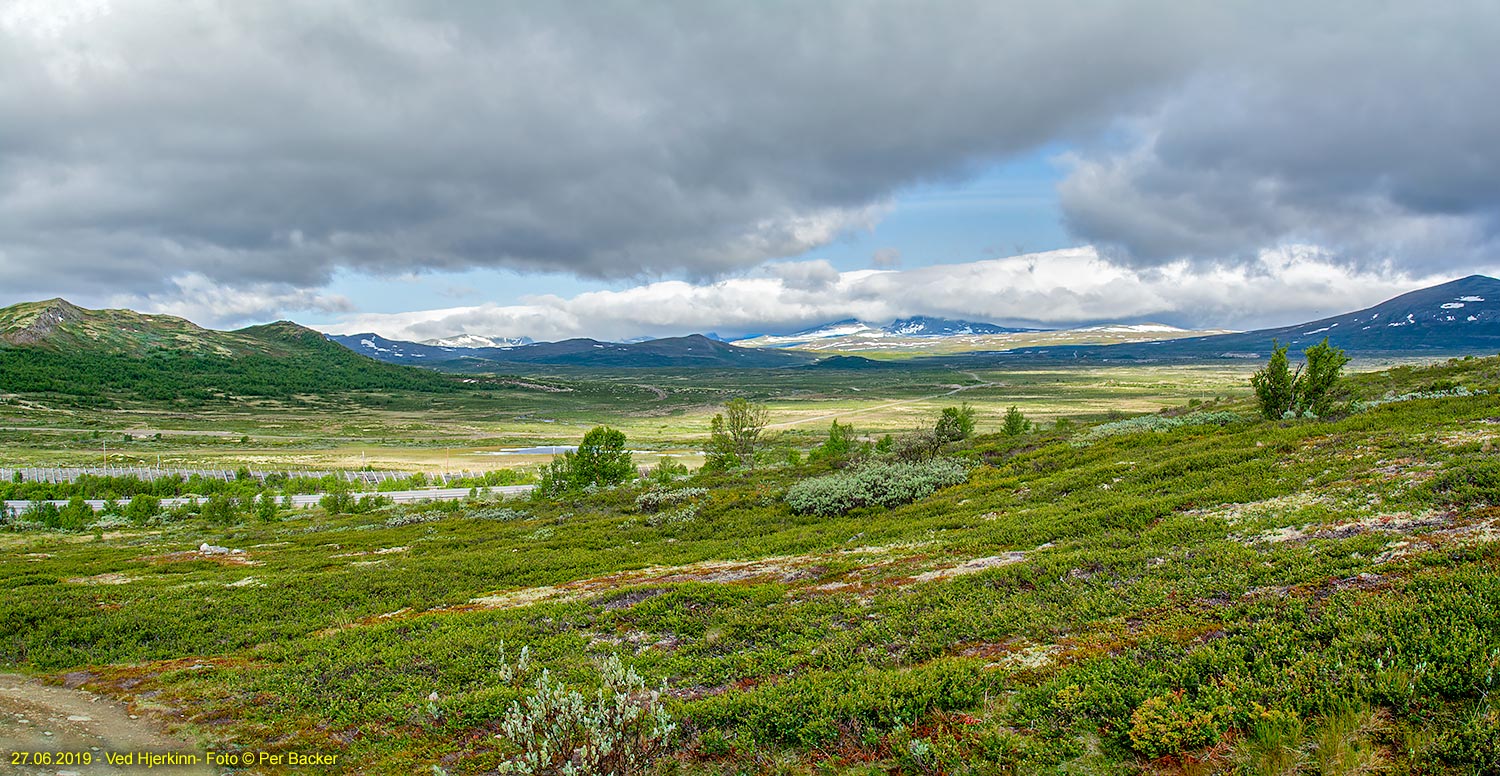 Ved Hjerkinn