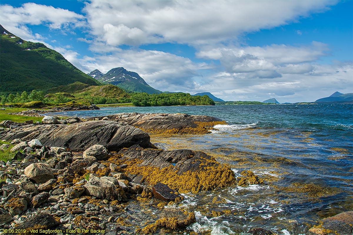 Frå Sagfjordene