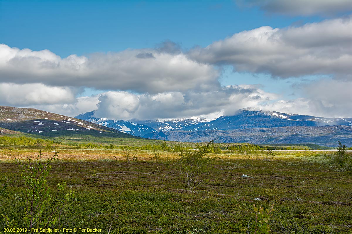 Frå Saltfjellet