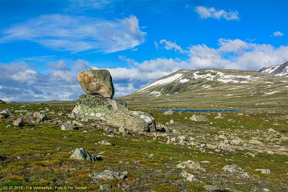 Frå Valdresflya