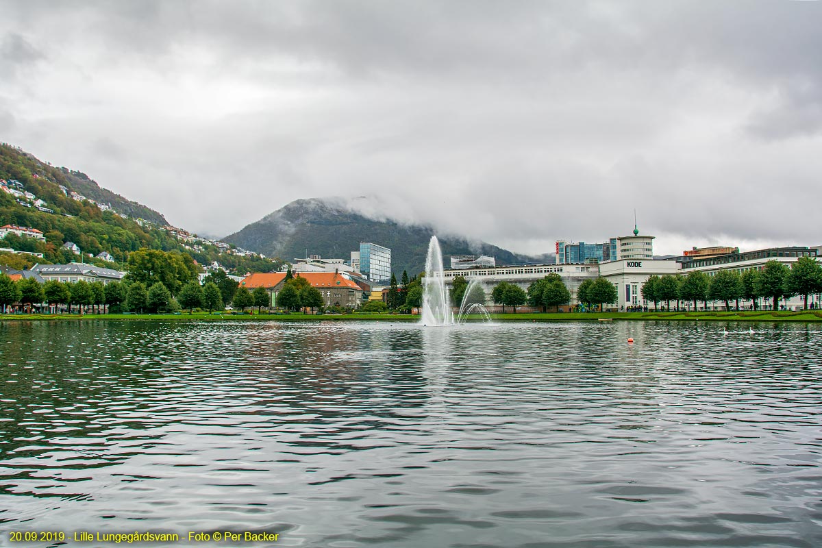 Lille Lungegårdsvann