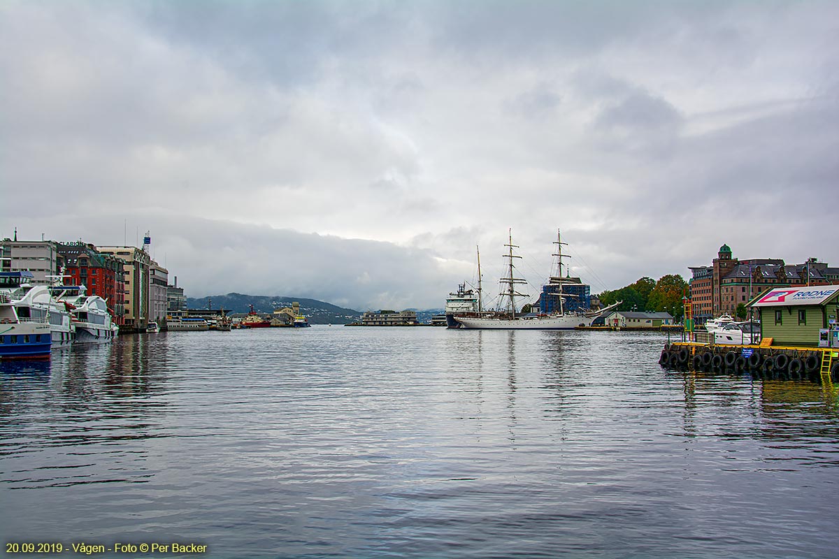 Vågen