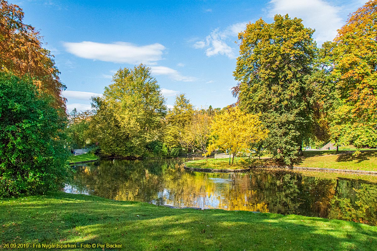 Frå Nygårdsparken