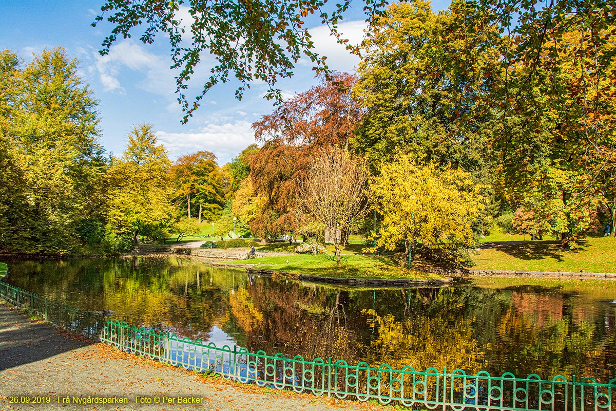 Frå Nygårdsparken