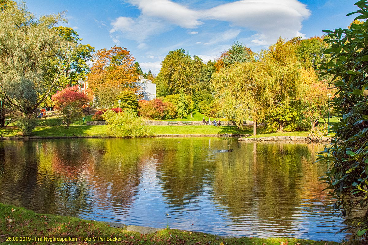 Frå Nygårdsparken