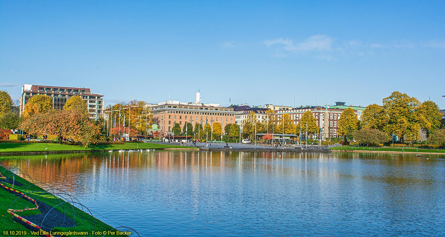 Ved Lille Lungegårdsvann