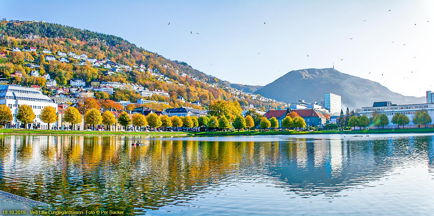 Ved Lille Lungegårdsvann