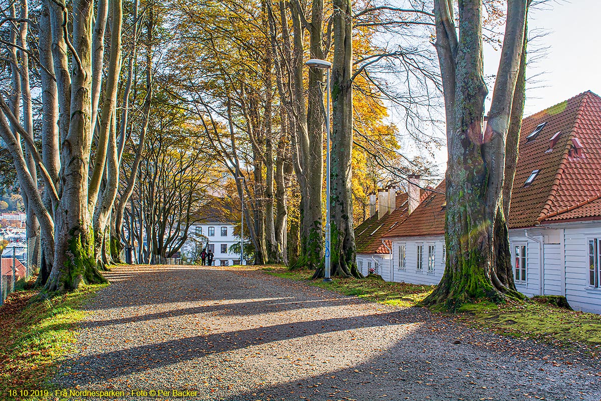 Frå Nordnesparken