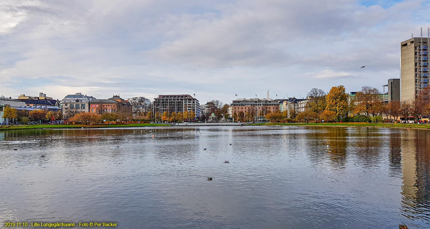 Lille Lungegårdsvann