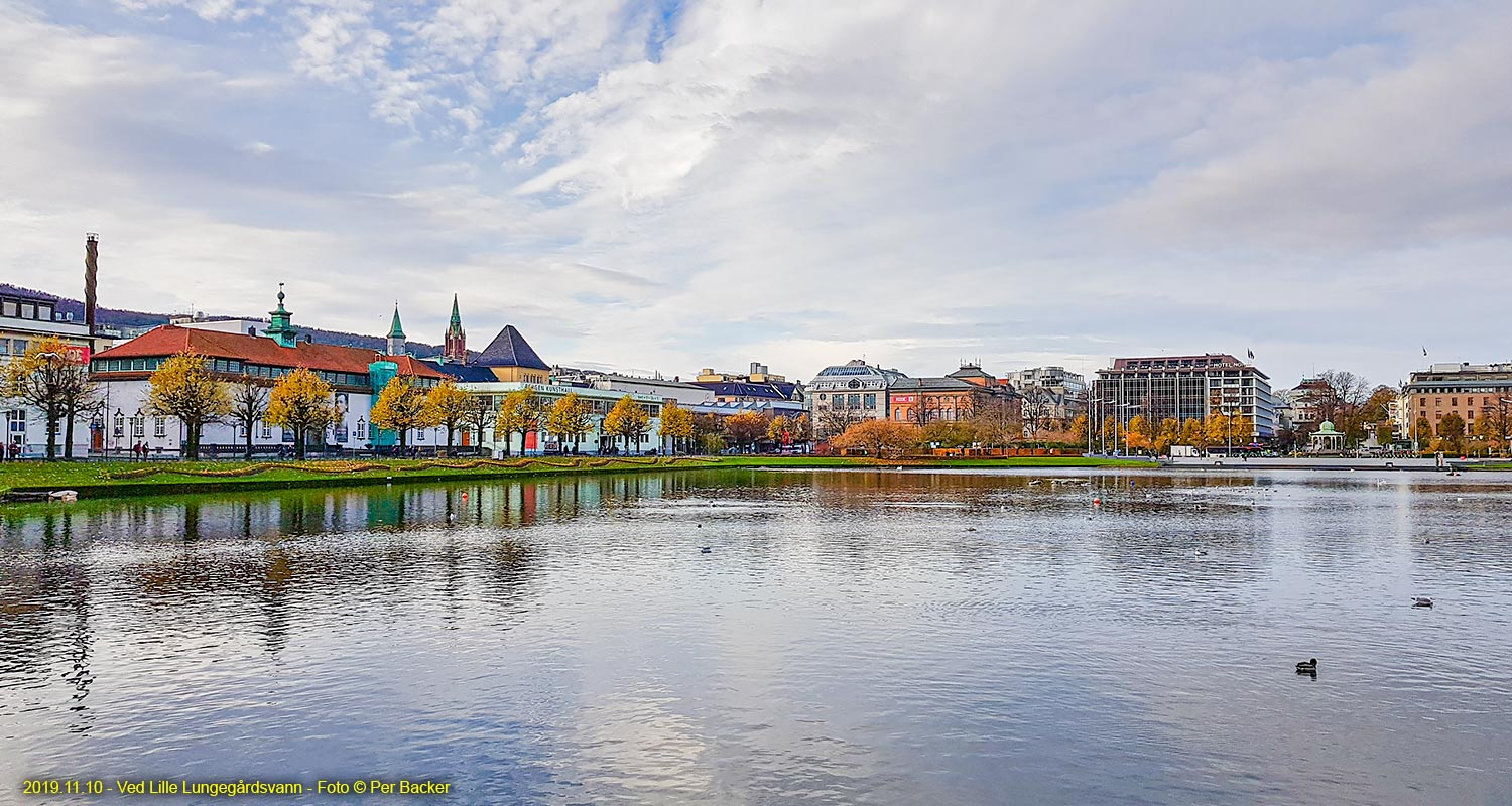 Ved Lille Lungegårdsvann