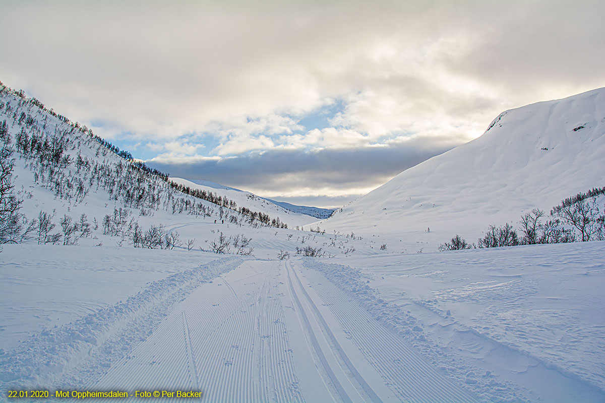 Mot Oppheimsdalen