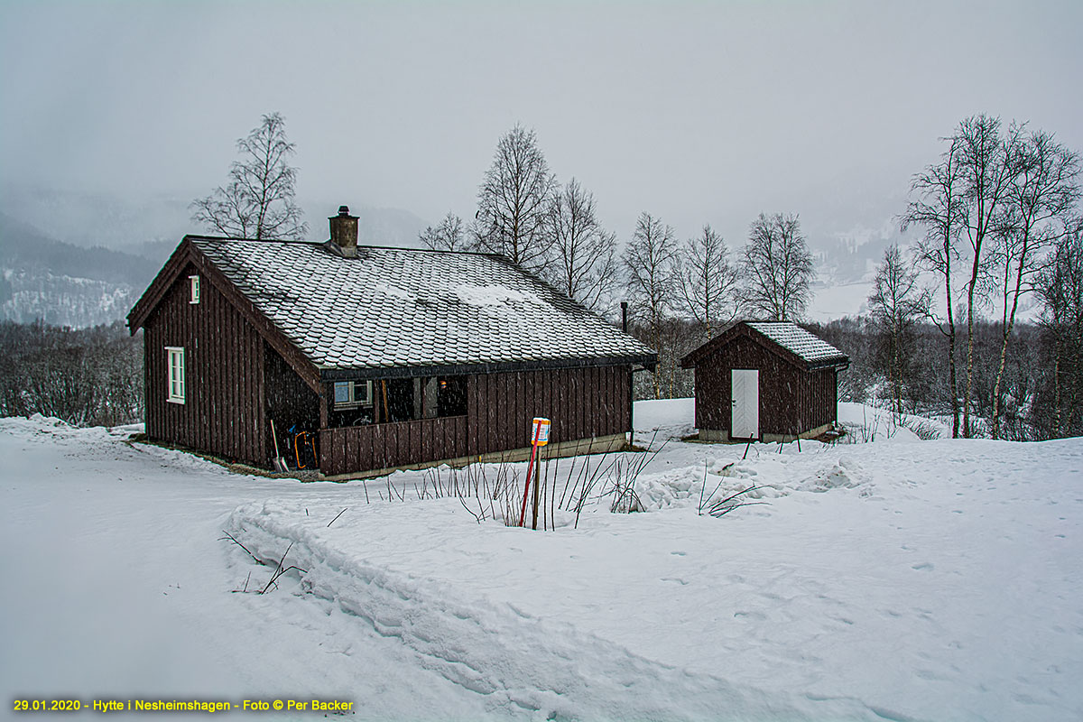 Hytte i Nesheimshagen