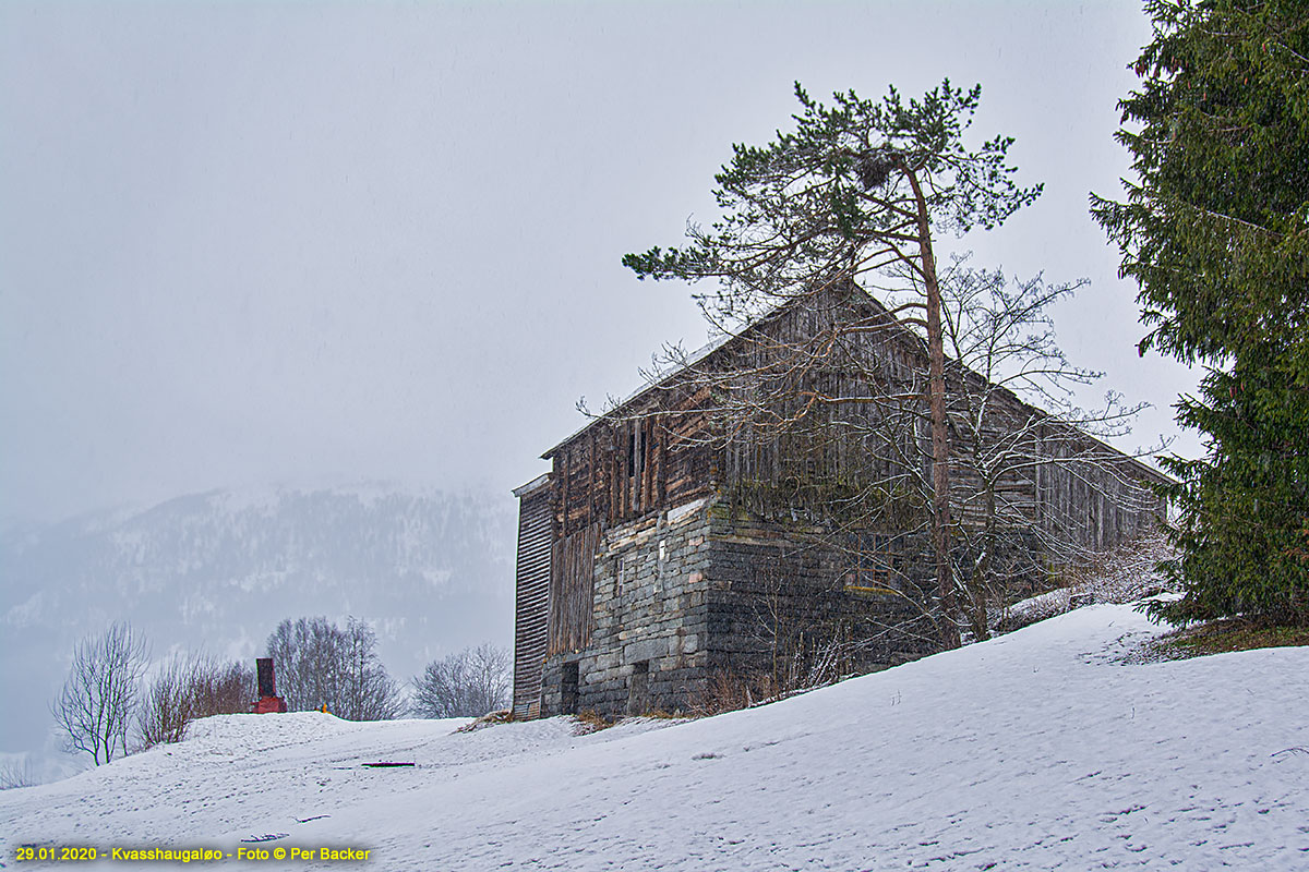 Kvasshaugaløo