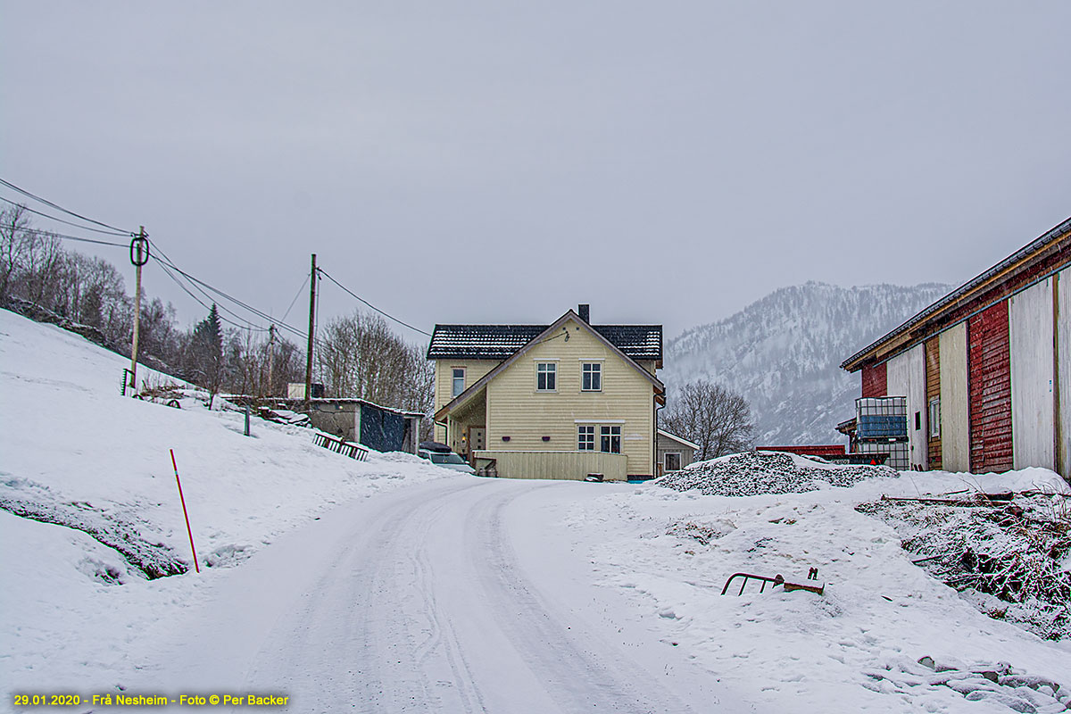 Frå Nesheim