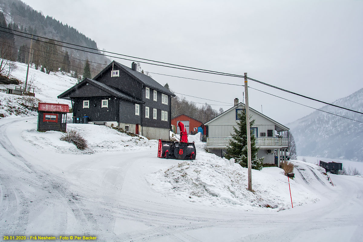 Frå Nesheim