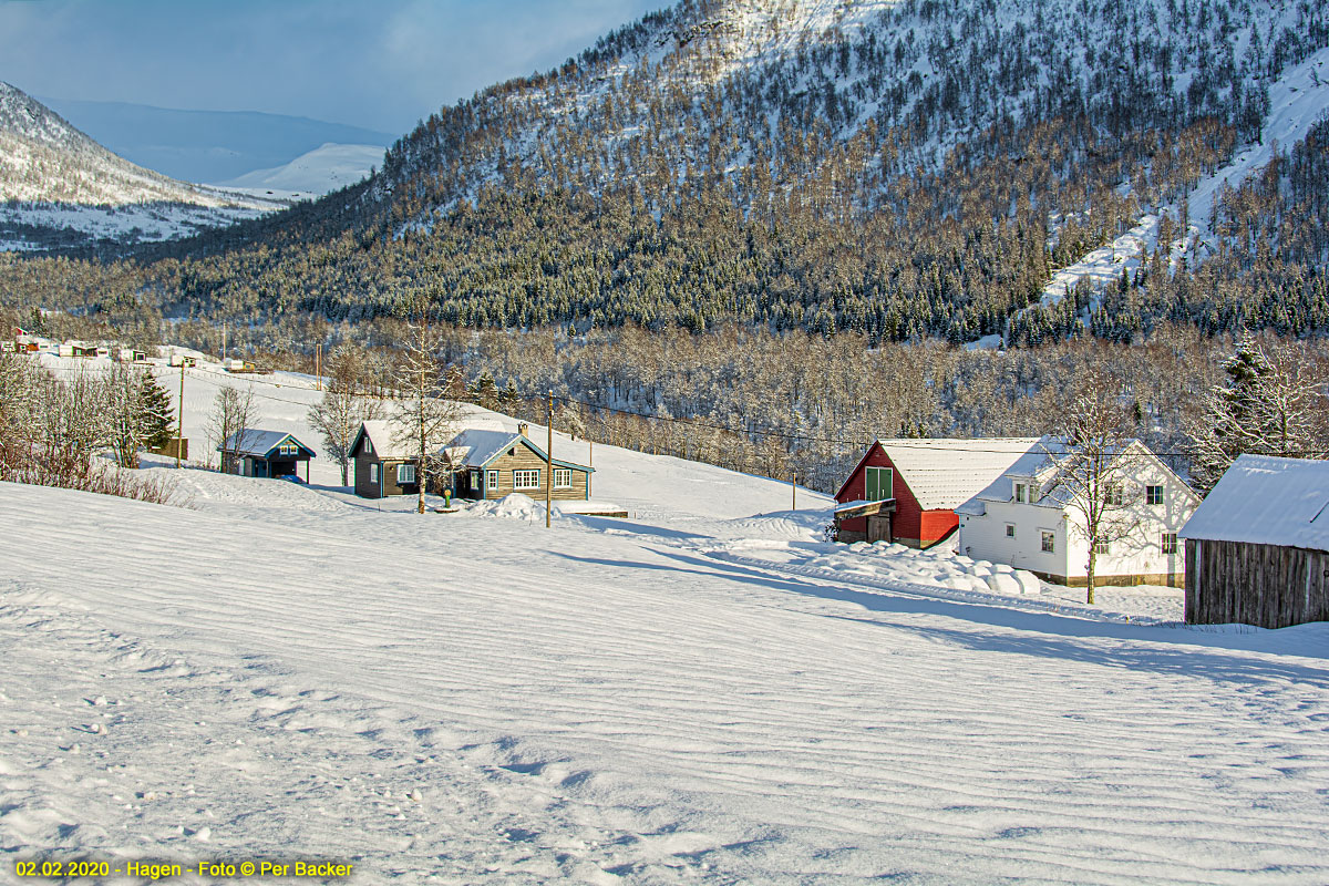 Hagen