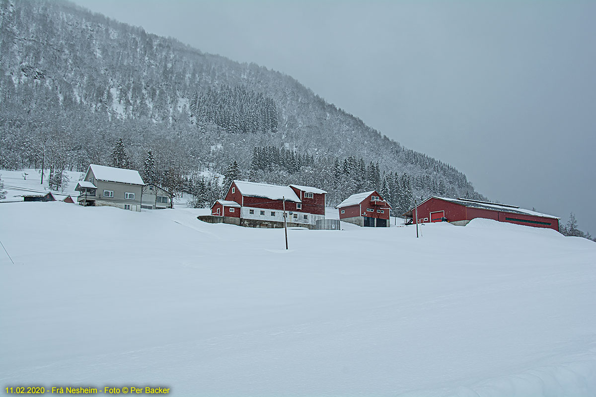 Frå Nesheim