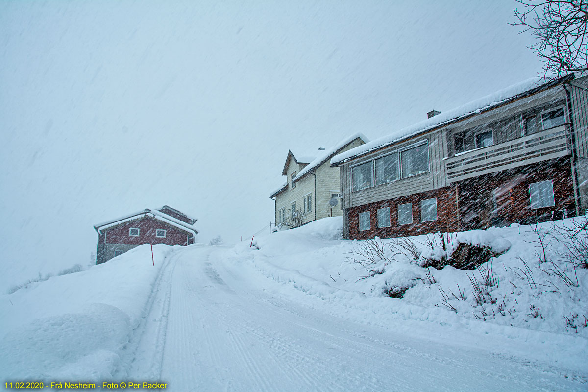 Frå Nesheim