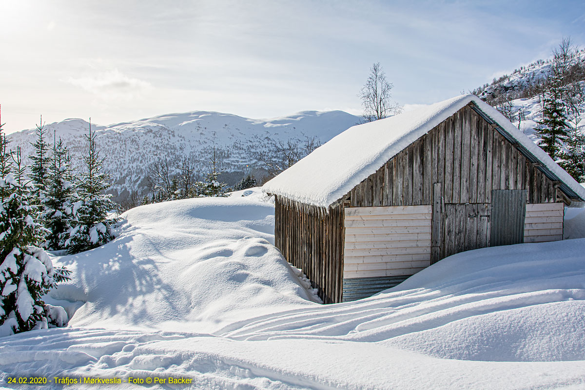 Tråfjos i Mørkveslia