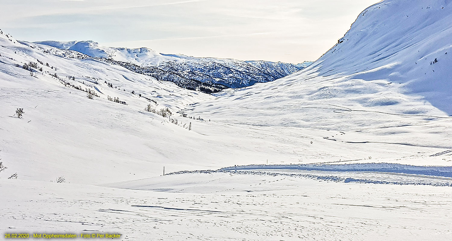 Mot Oppheimsdalen