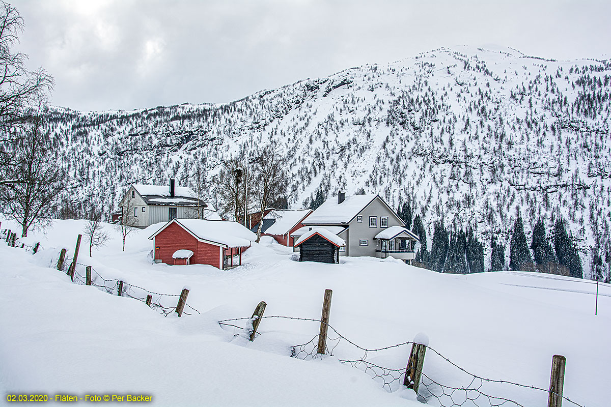 Flåten