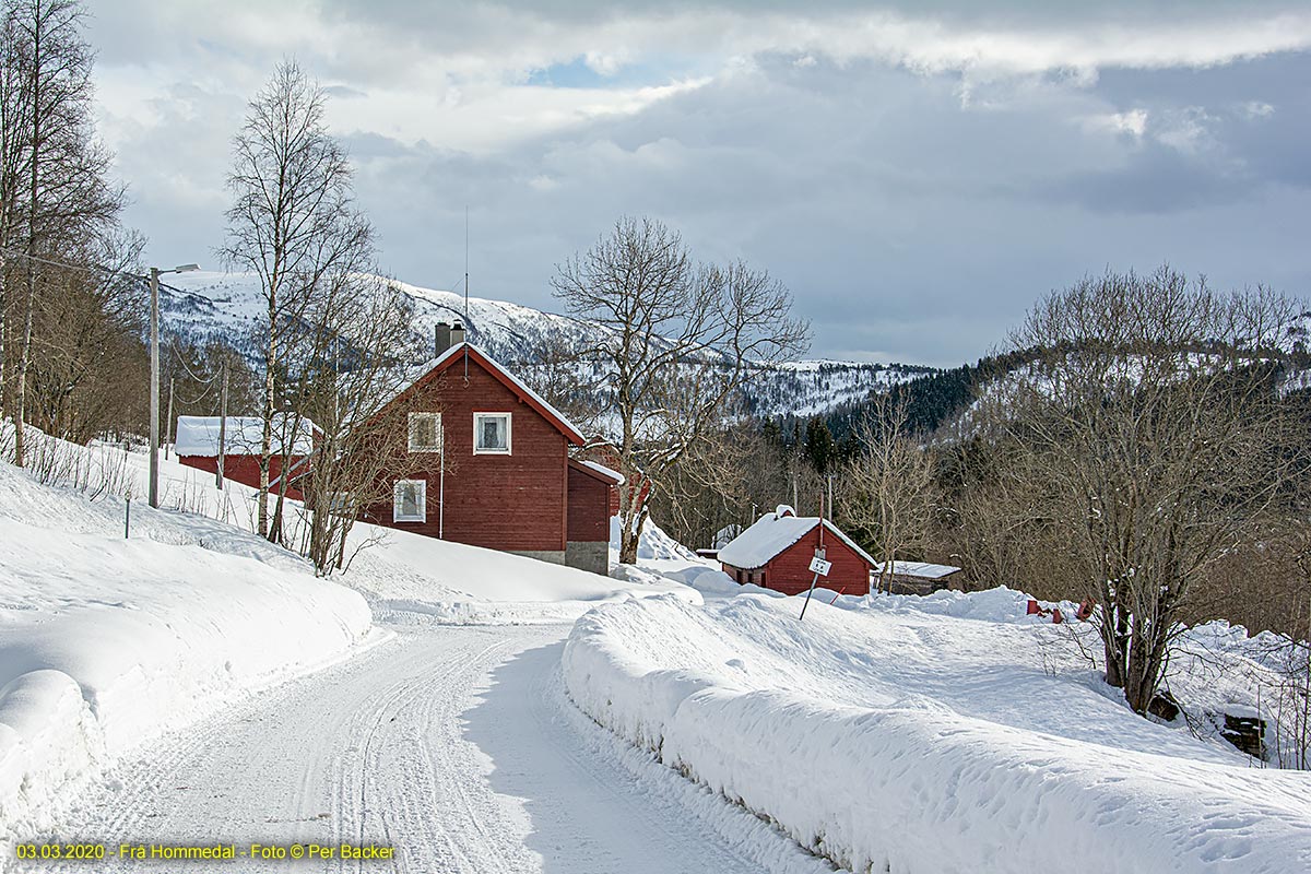 Frå Hommedal