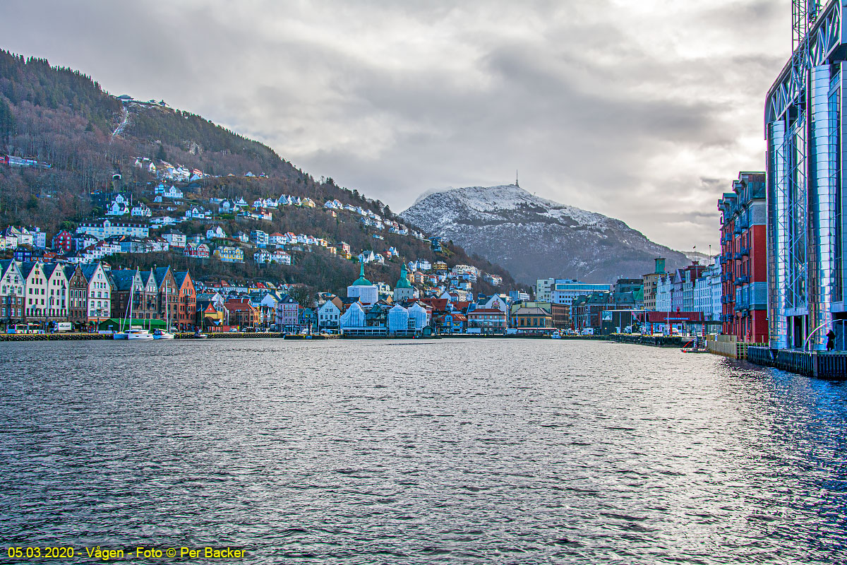 Vågen