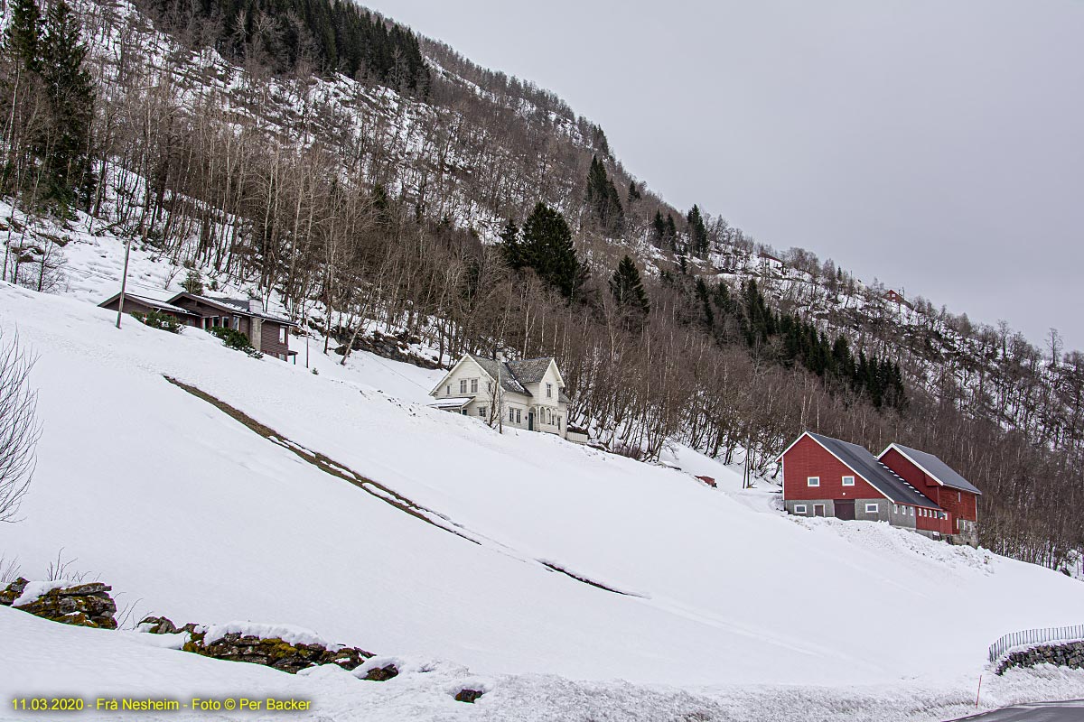 Frå Nesheim