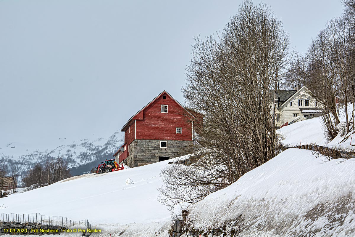 Frå Nesheim