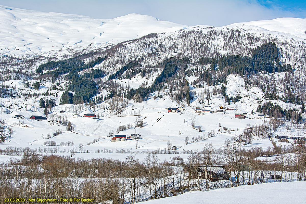 Mot Skjervheim