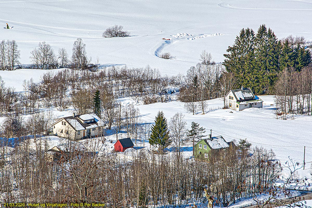 Huset og Vinjahagen