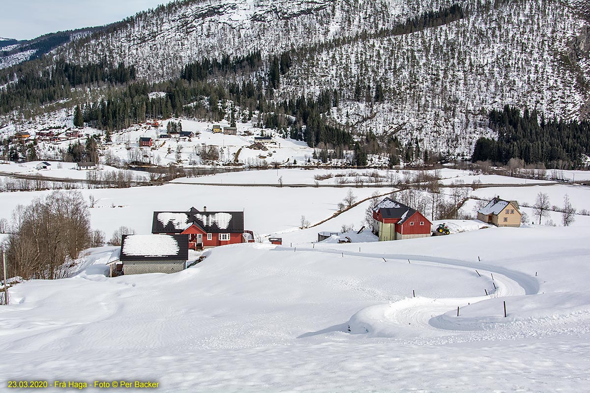 Frå Haga